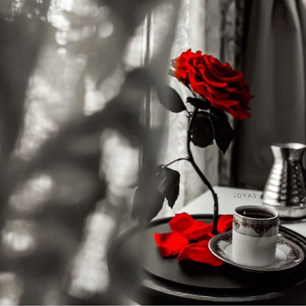 Доброе утро черно белое