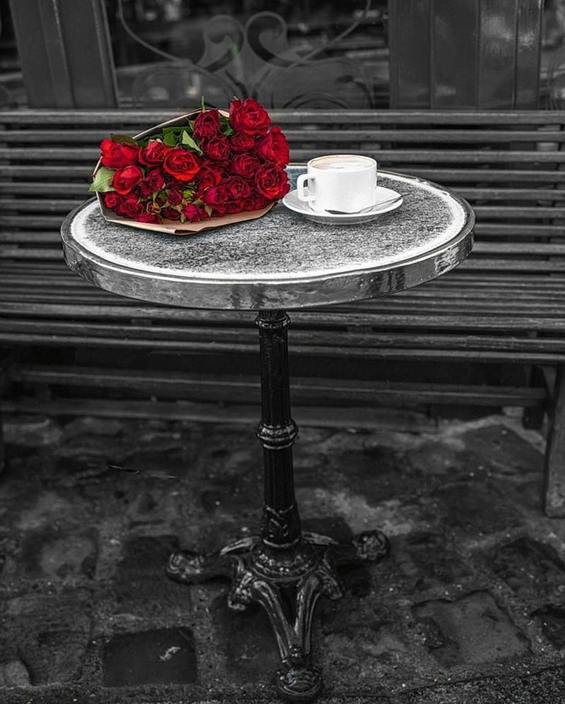 Assaf Frank фотограф