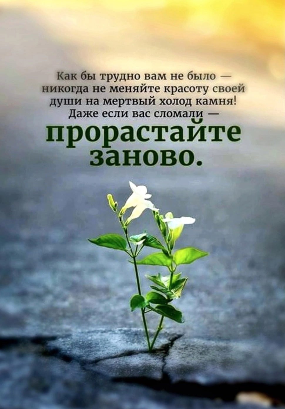 Позитивные цитаты