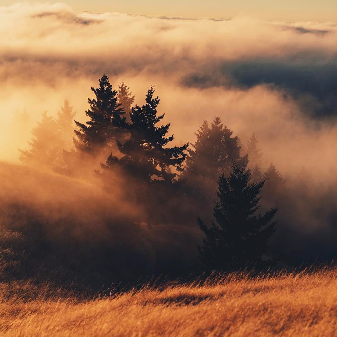 Квадратная природа