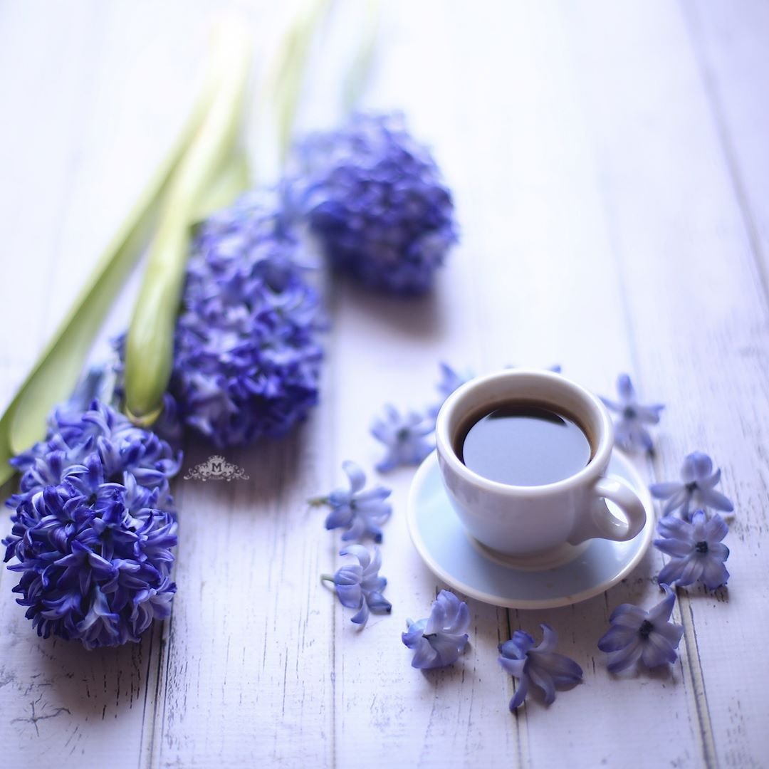 Доброе утро в синих тонах