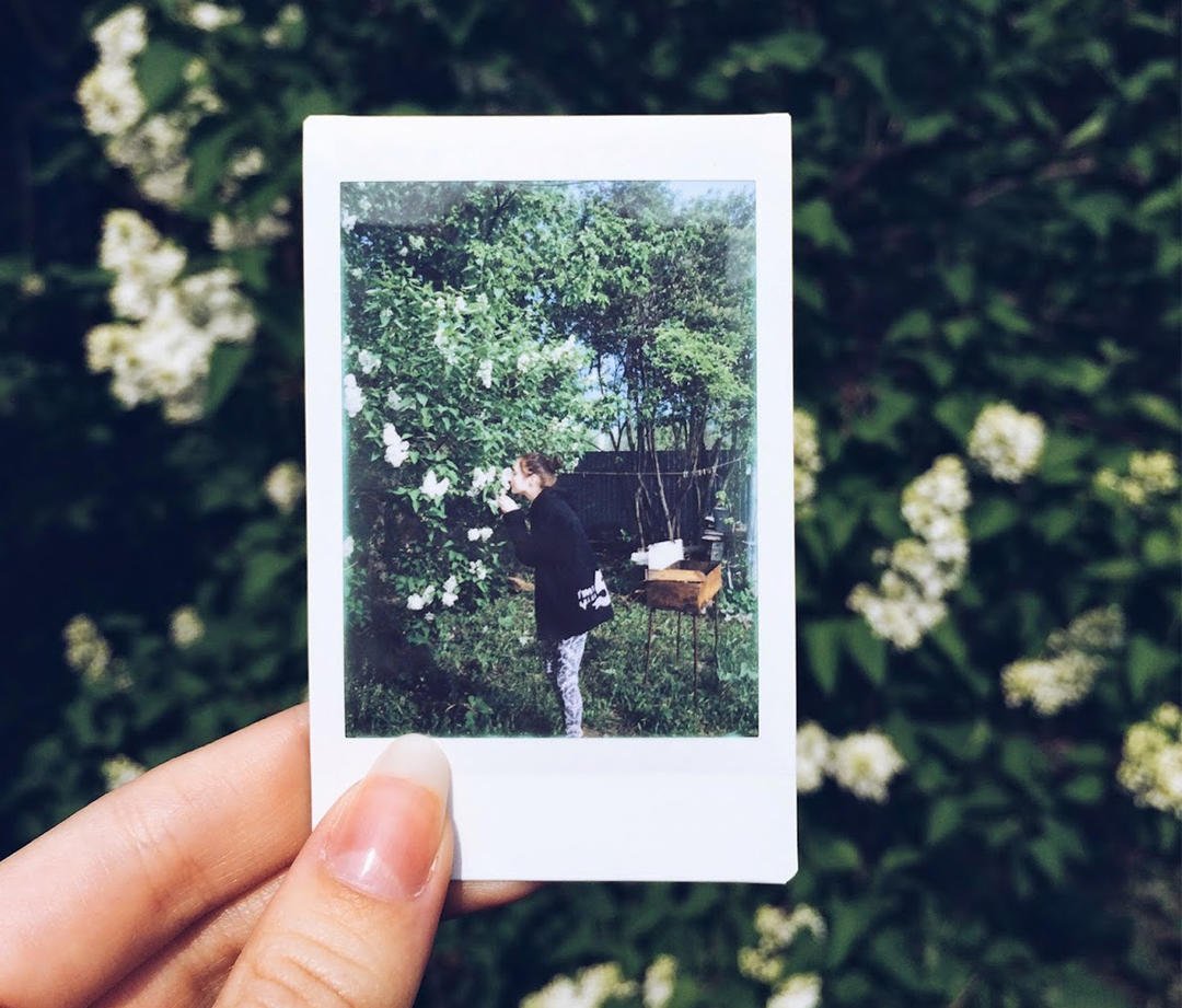 Снимок полароид