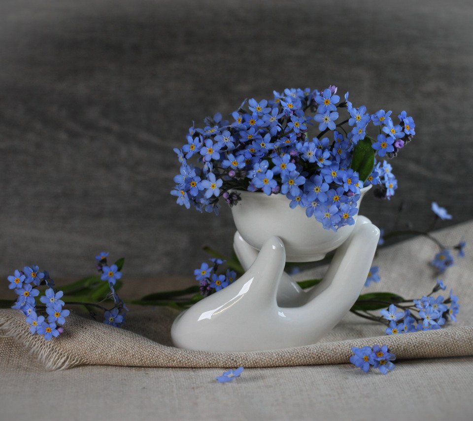 Доброе утро незабудки