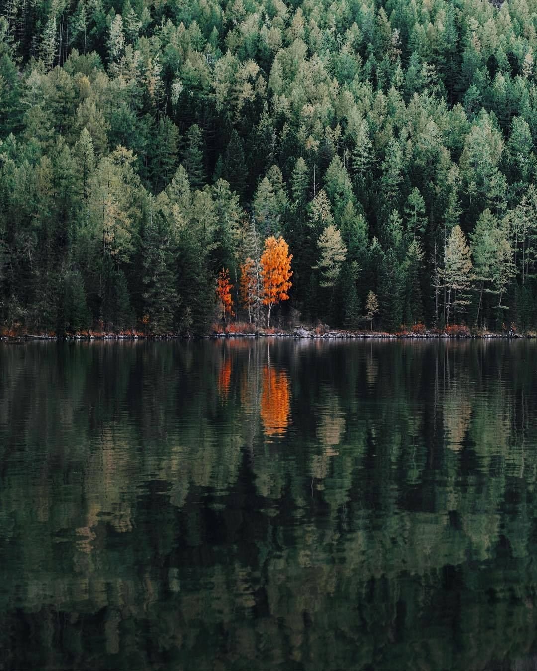 Природа Инстаграм