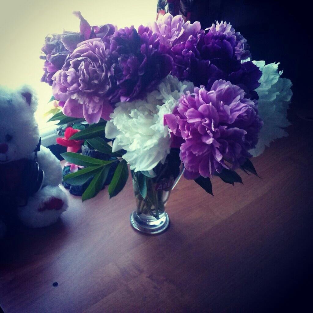 Пионы ночью