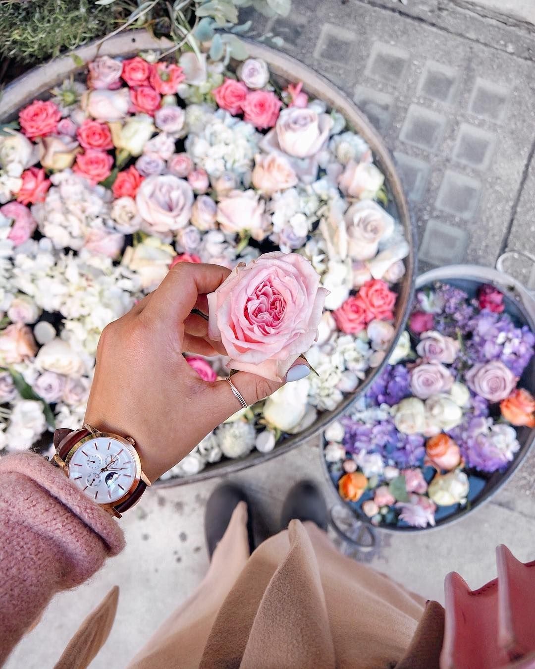 Красивые цветы для инстаграма