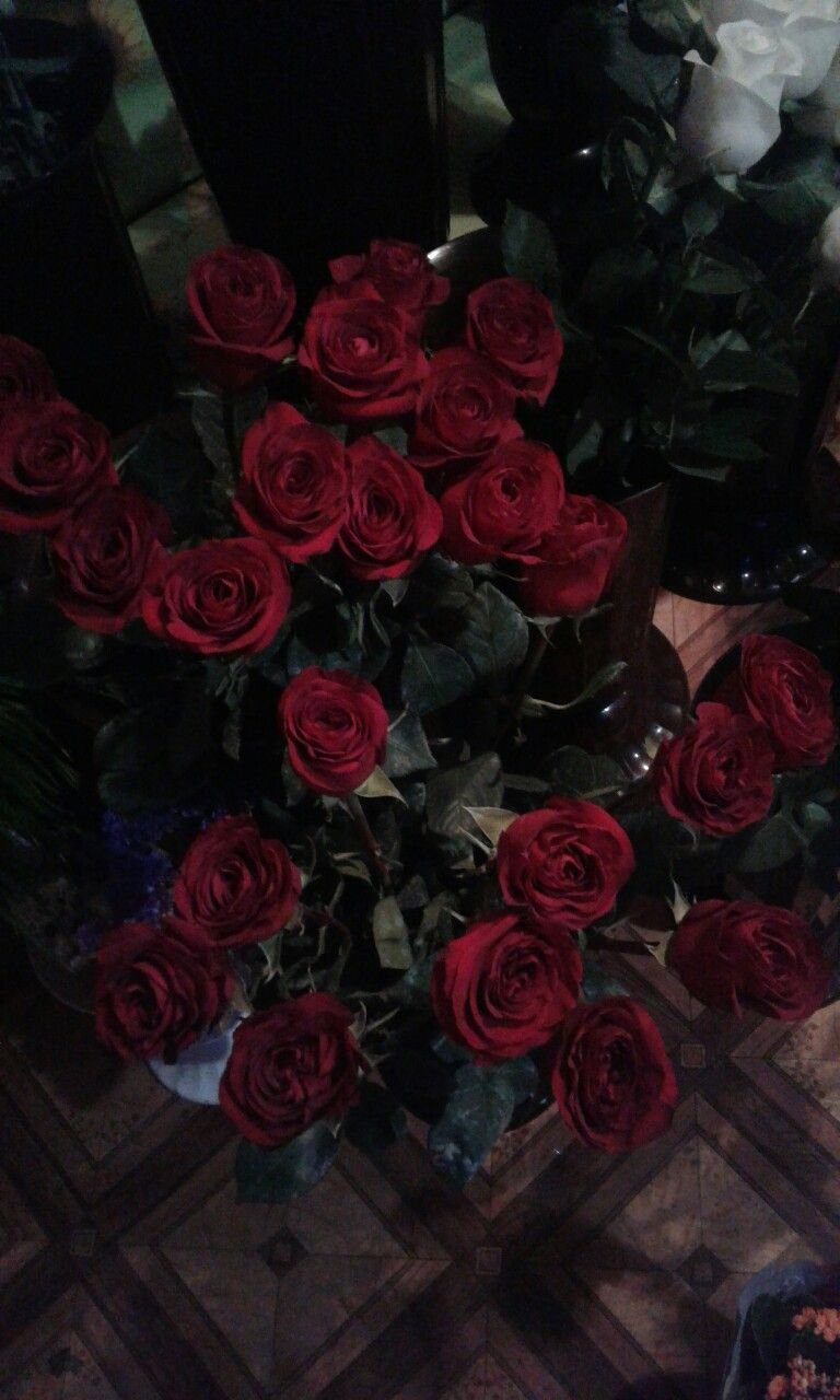 Букет красных роз в темноте