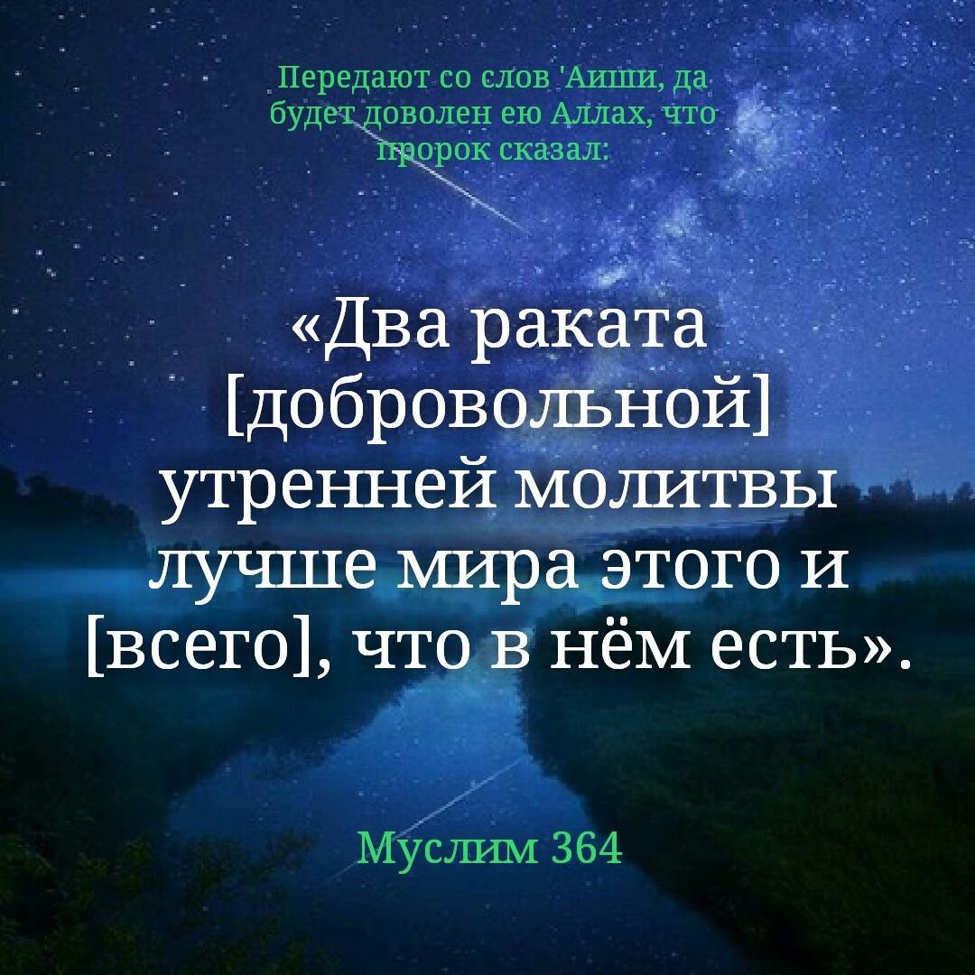 Мусульманские цитаты