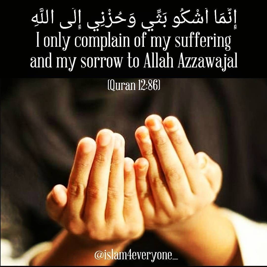 Аллах цитаты