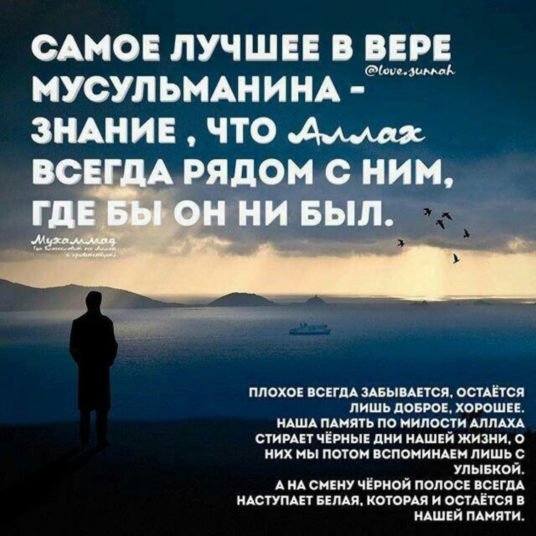 Цитаты про Ислам