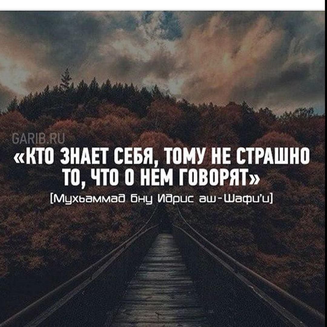 Фразы со смыслом