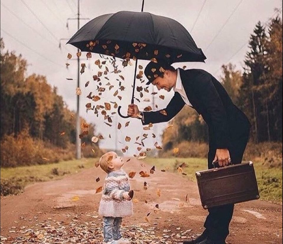 Высказывания про Волков со смыслом