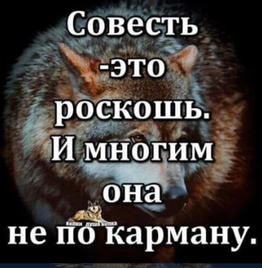 Совесть это роскошь и многим она не по карману