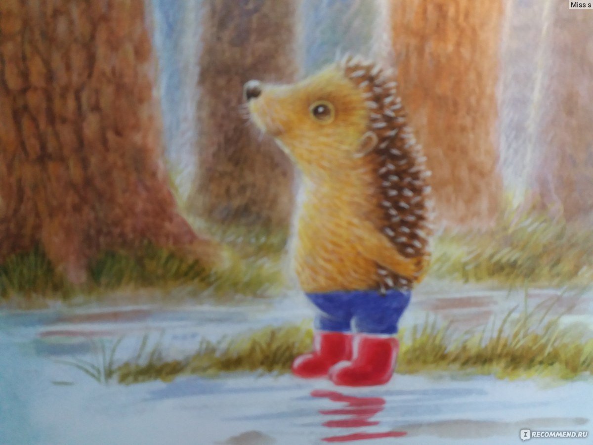 Сергей Козлов Ежик и Медвежонок иллюстрации