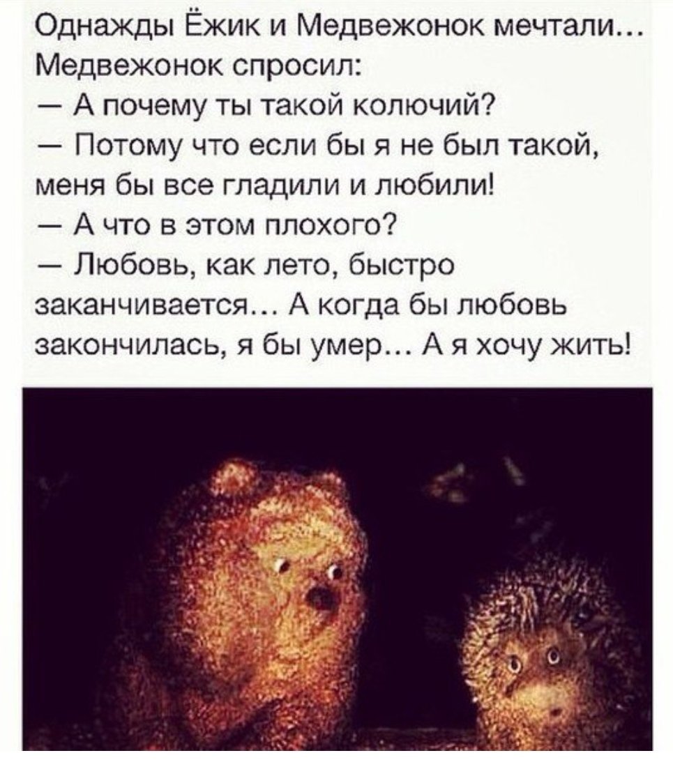 Ёжик в тумане добро пожаловать в ад