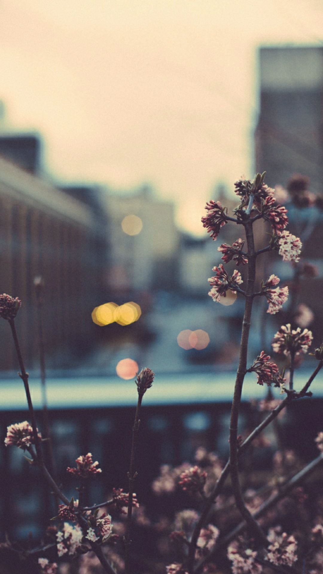 Котик в костюме лягушечки