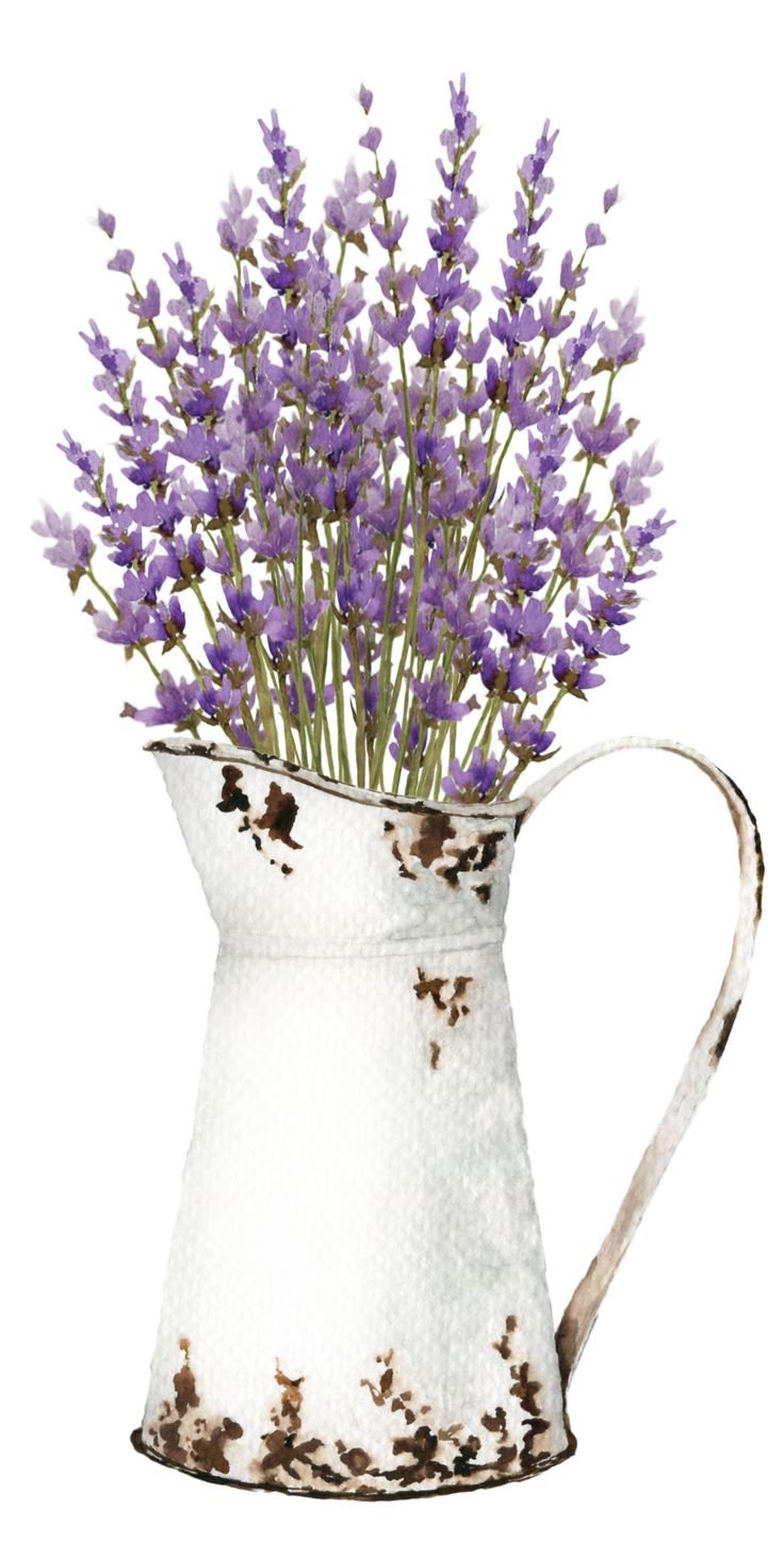 Лаванда рамка