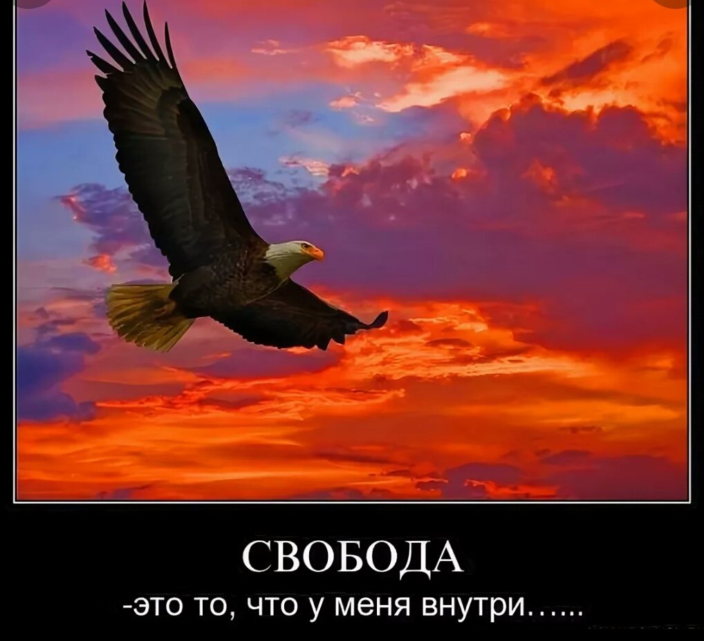 Цитаты про Орлов