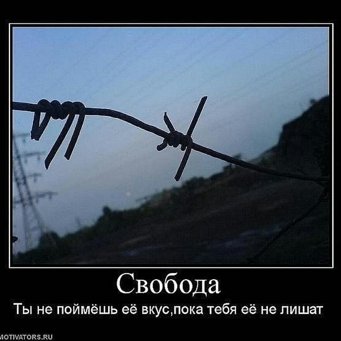 Иногда Свобода начинается так