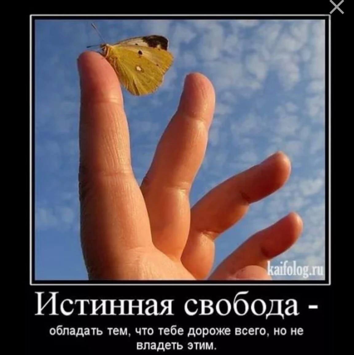 Девушка летает