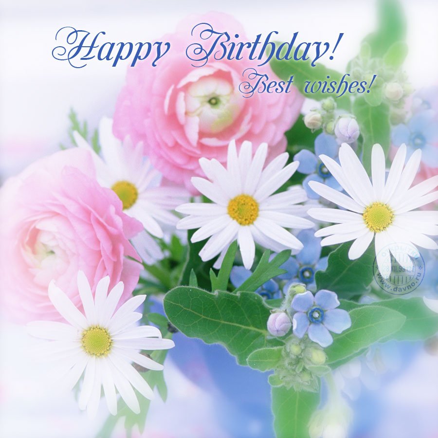 Прикольные поздравления с днем рождения