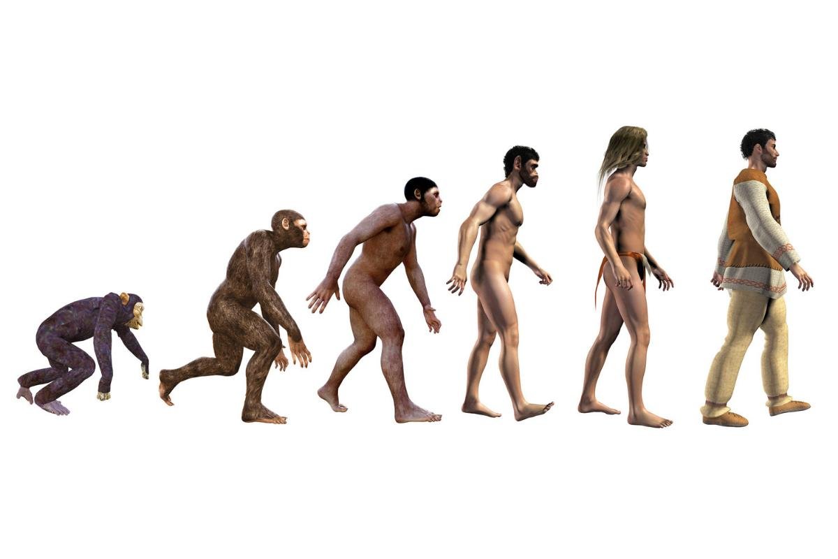 Эволюция человека 3д