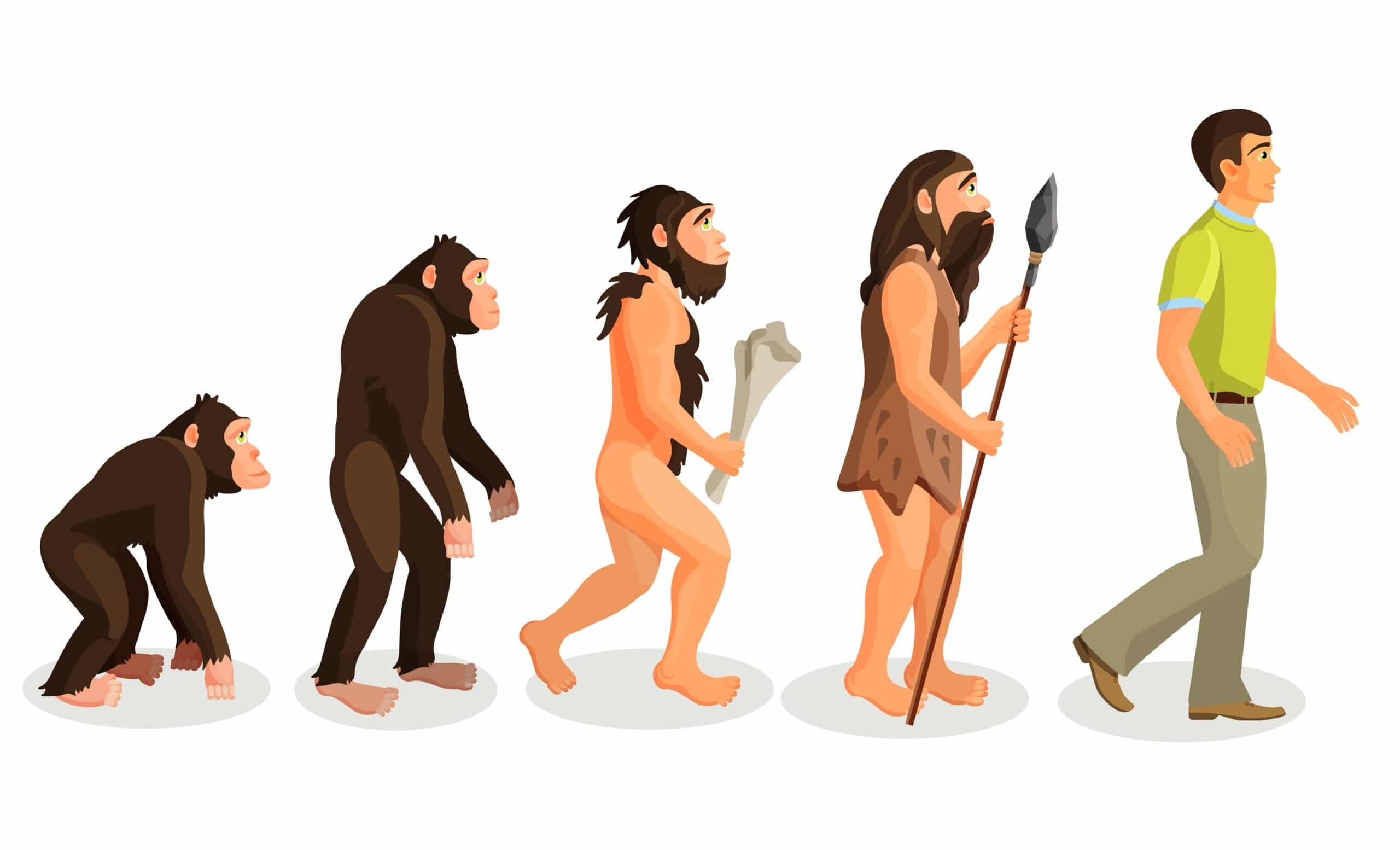 Эволюционирует ли человек. Превращение в обезьяну. Человек превращается в обезьяну. Человек эволюционирует в обезьяну. Превращение из обезьяны в человека.