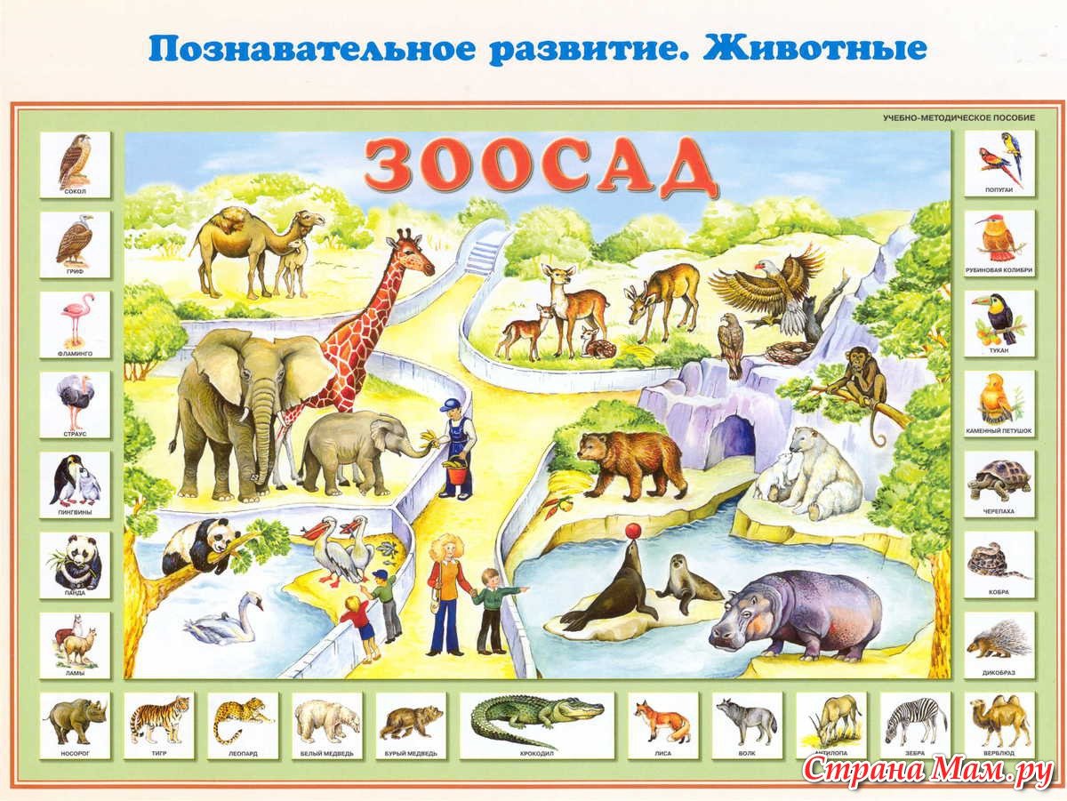 Животные жарких стран