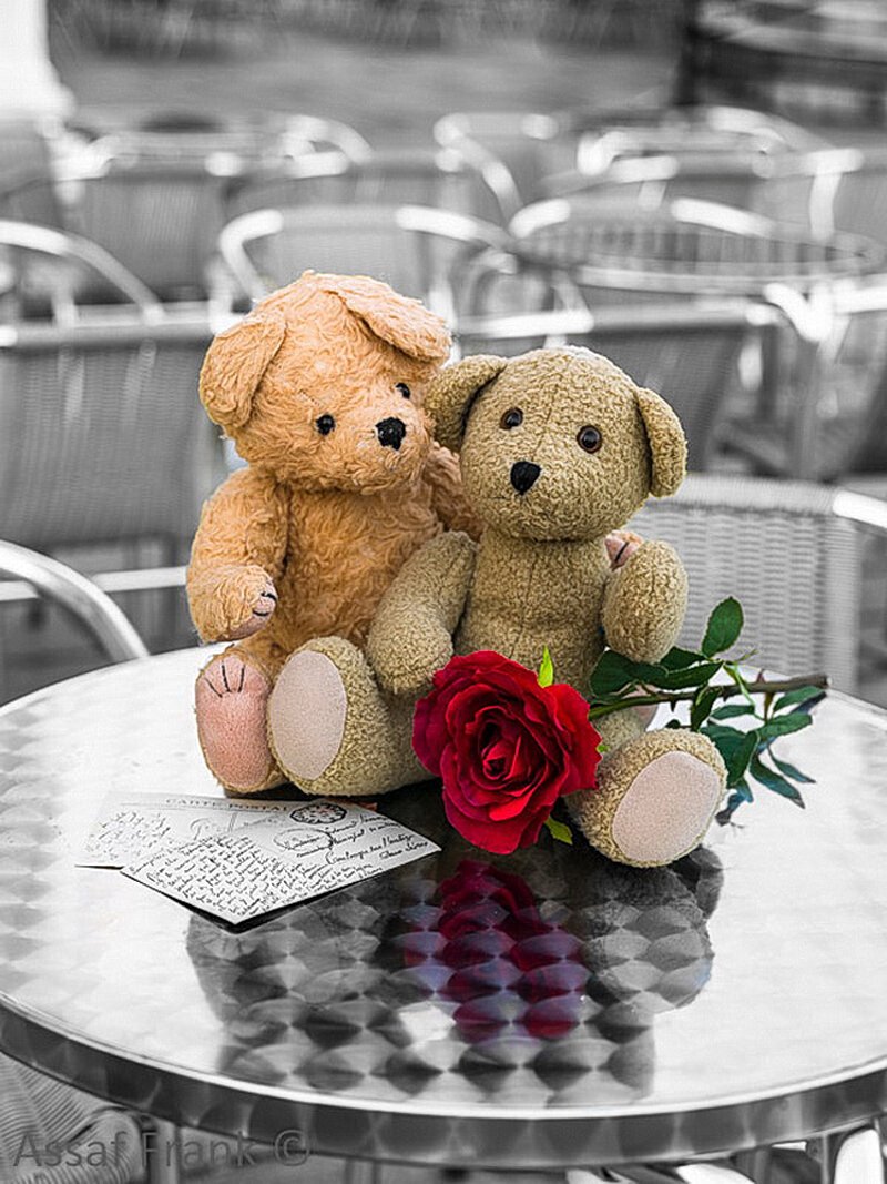 Алмазная мозаика мишка