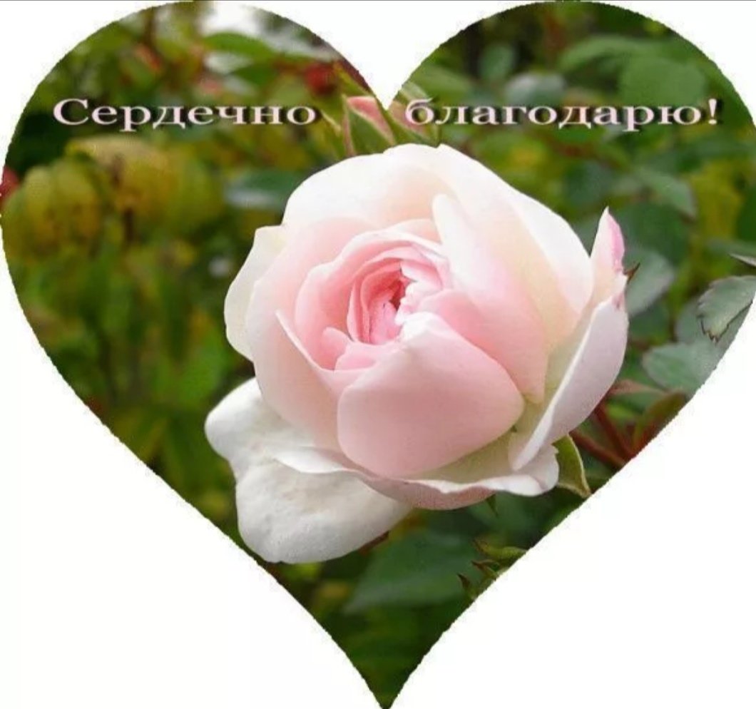 Благодарю от всего сердца