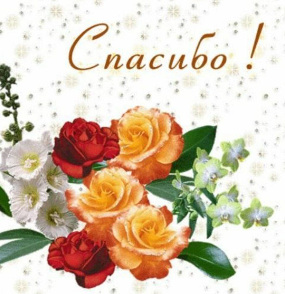 Пожелания спасибо