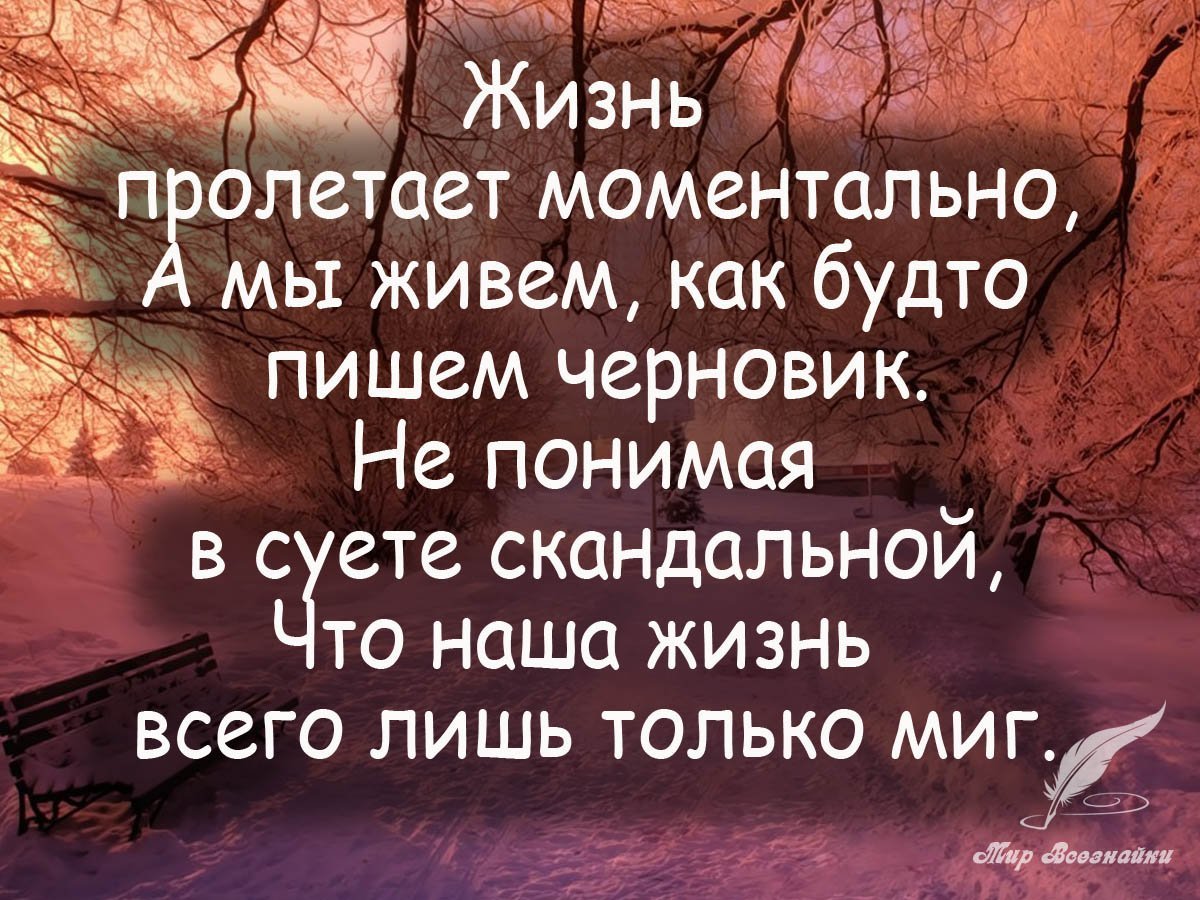 Смешные мысли и высказывания