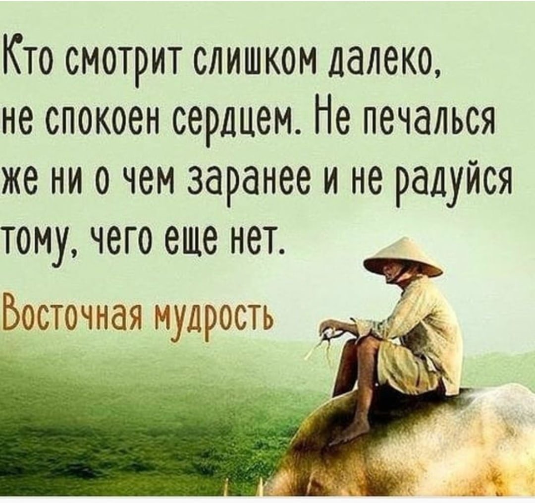 Умные цитаты