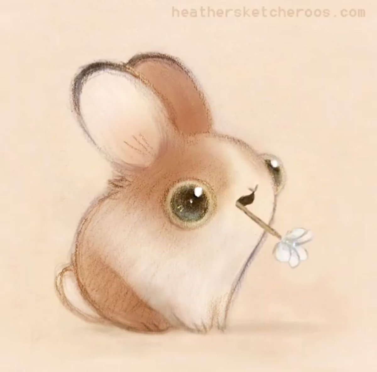 Заяц персонаж