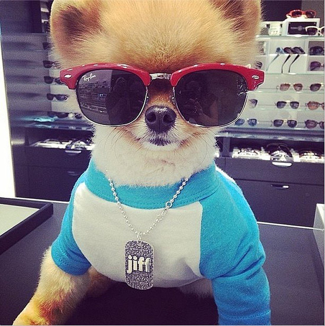 Мишель Рэндольф селфи