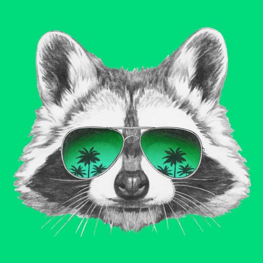 Енот в солнцезащитных очках