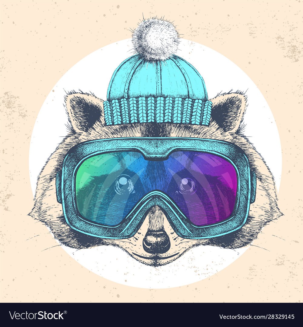 Енот в сноубордистких очках морда