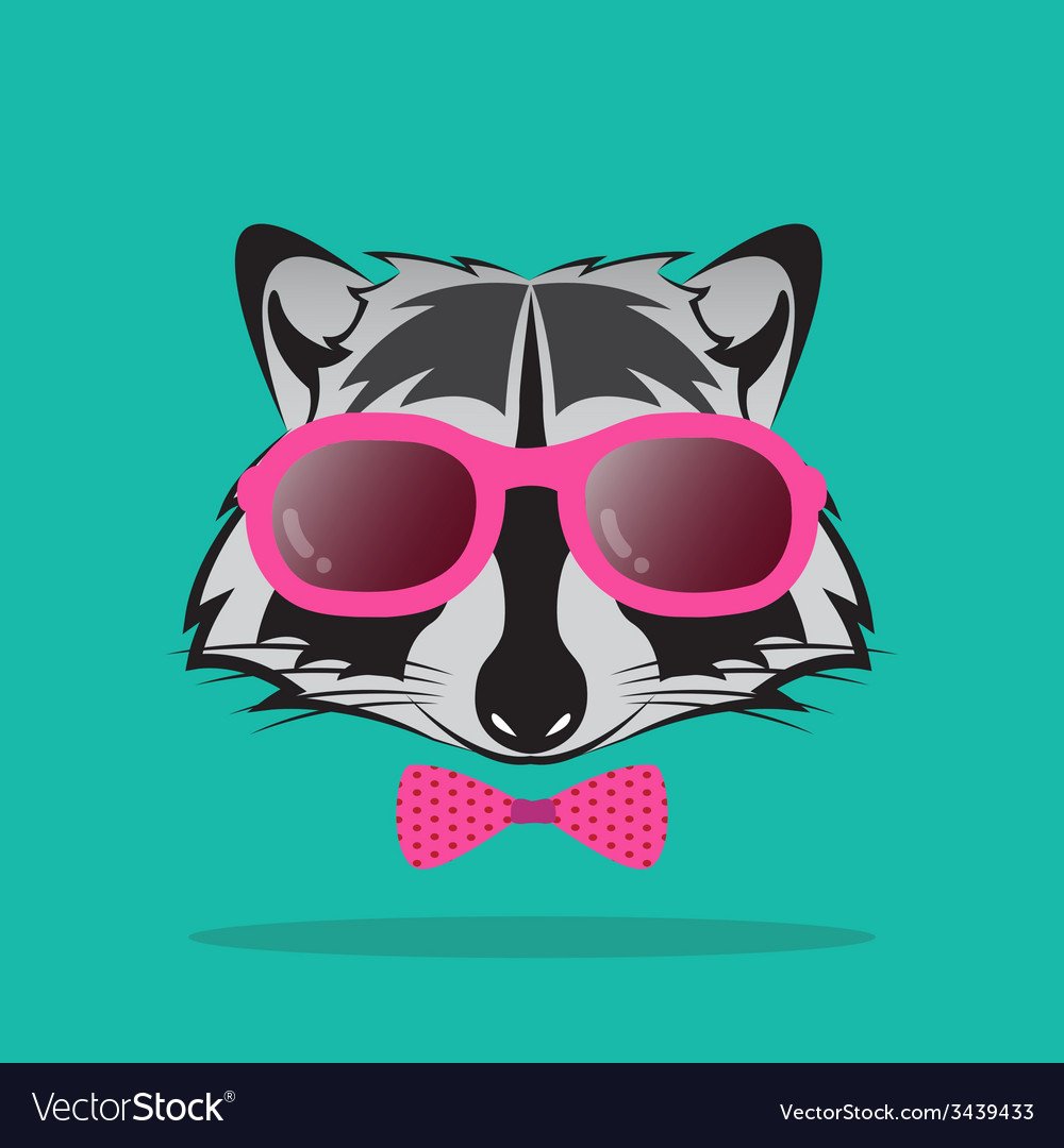 Енот в солнцезащитных очках
