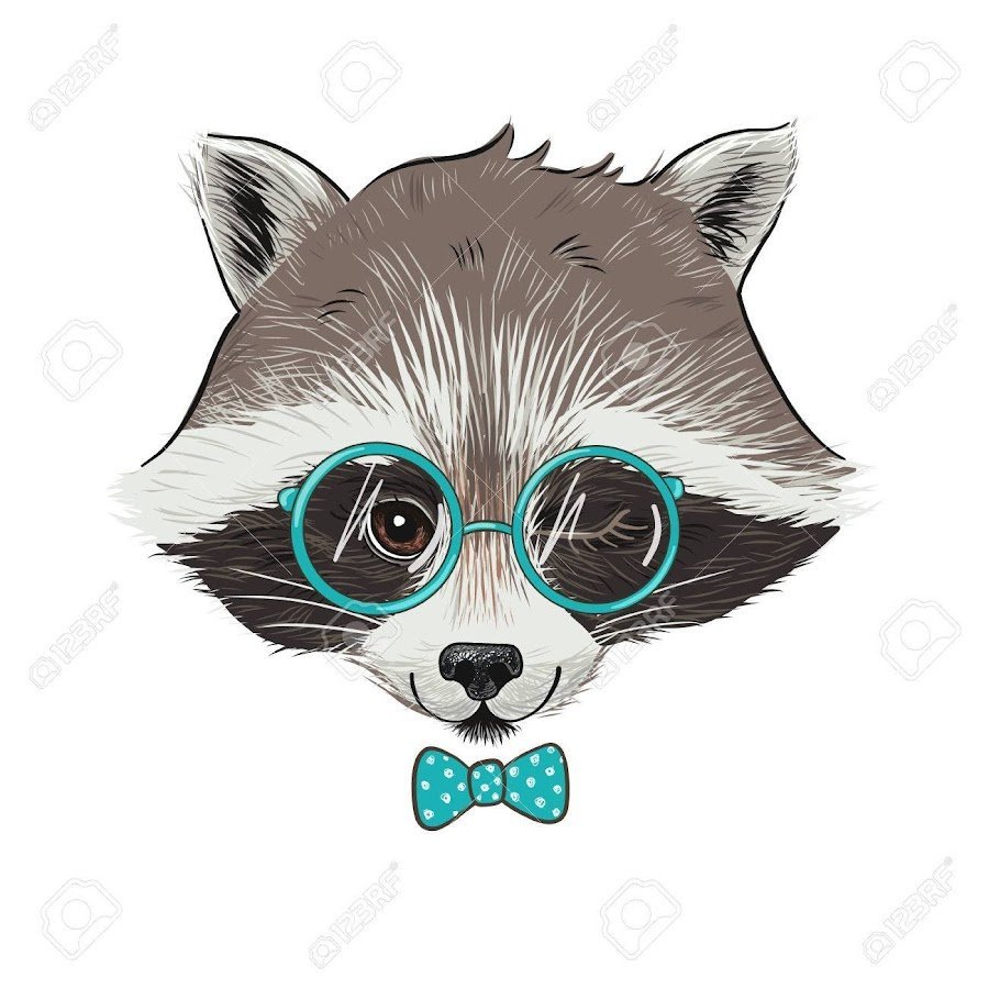 Енот в очках
