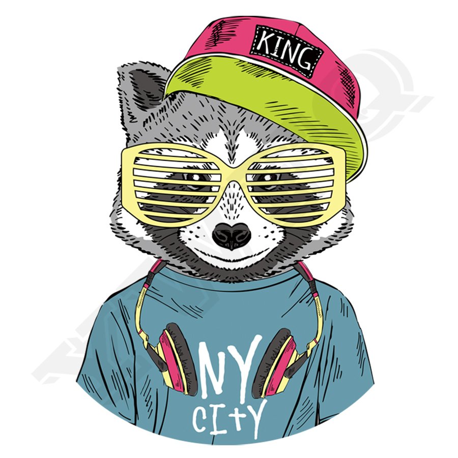 Енот в очках