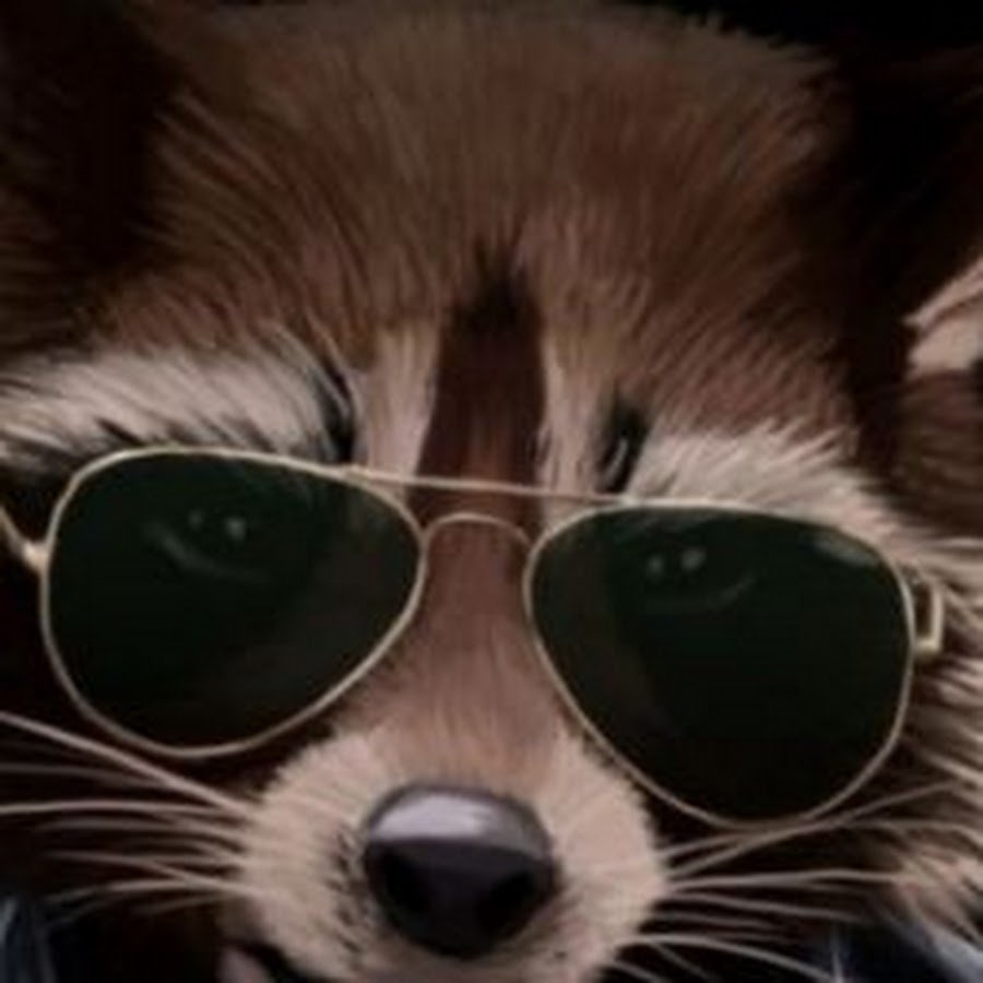 Енот в Кожанке