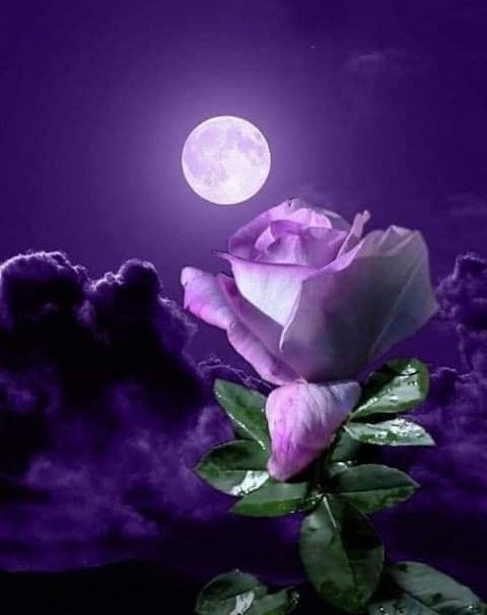 Хорошей ночи