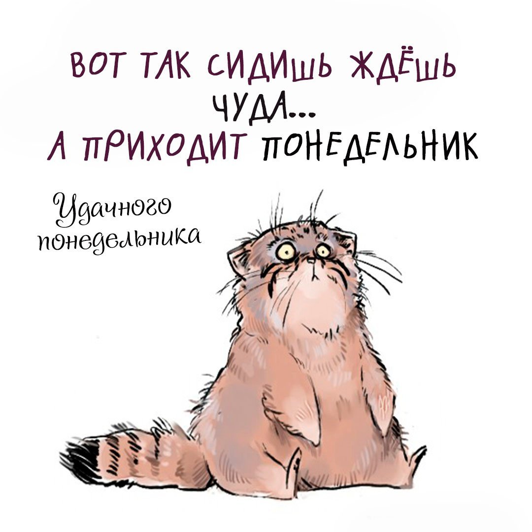 Давай до понедельника смешные картинки