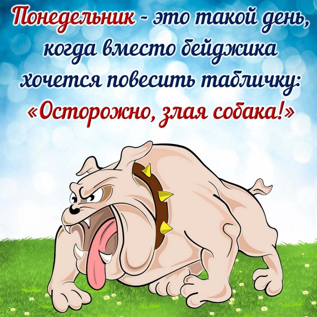 С добрым утром понедельника