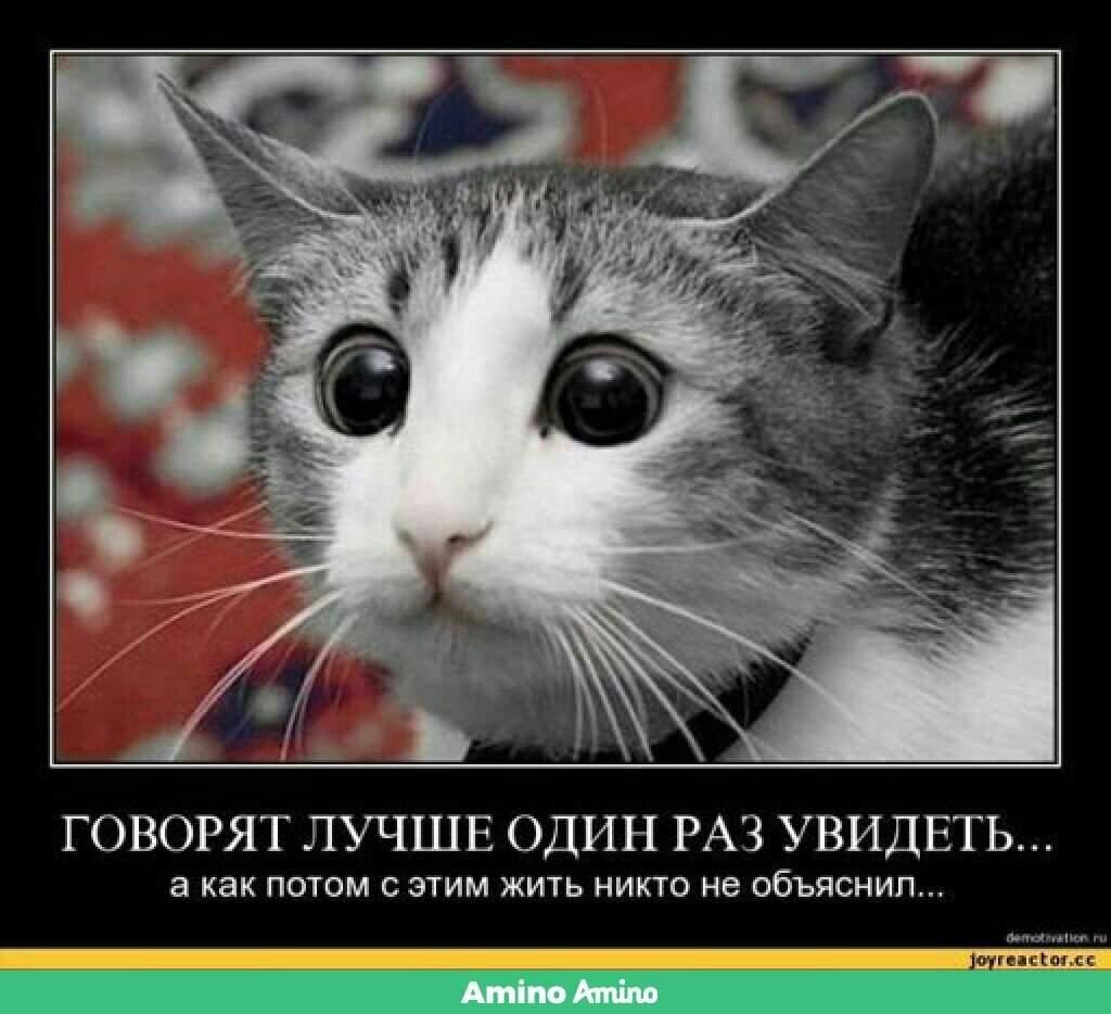 Понедельник карикатура