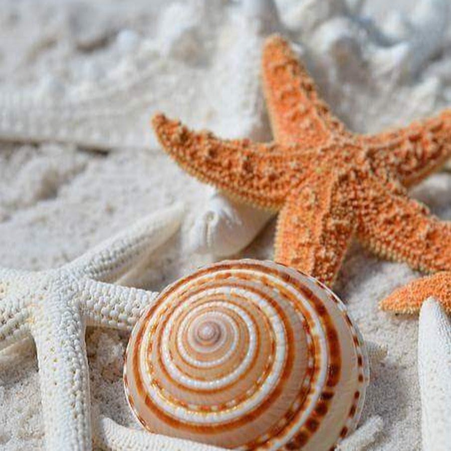 Морская тематика