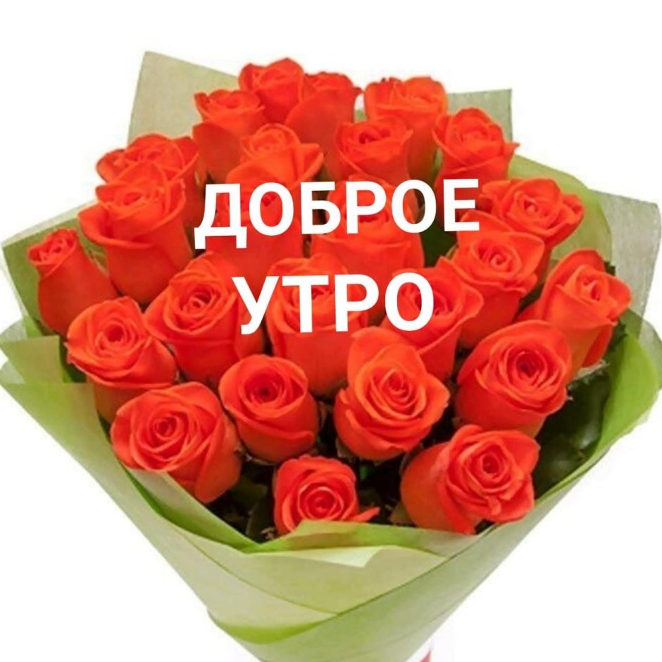 Цветы для Олечки