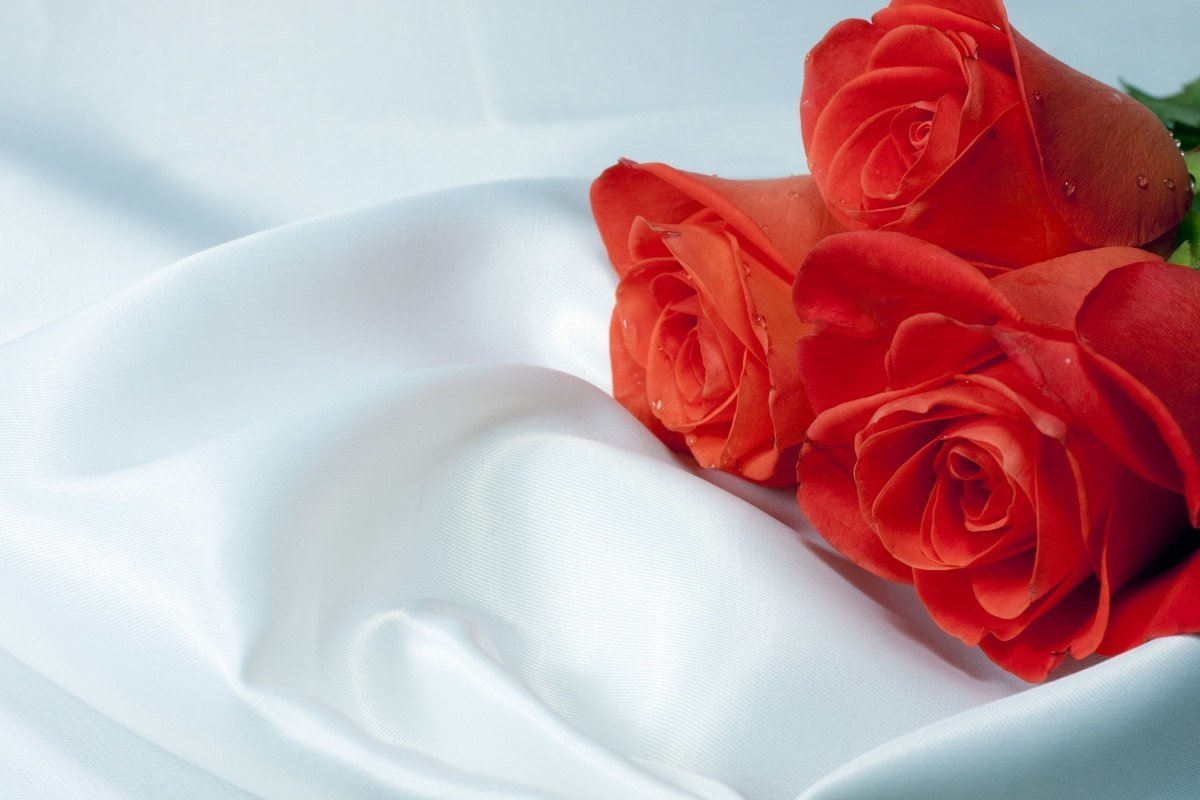 Открытки с добрым утром Зоя