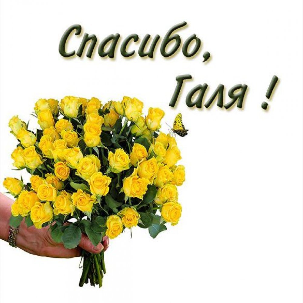 Спасибо Танечка