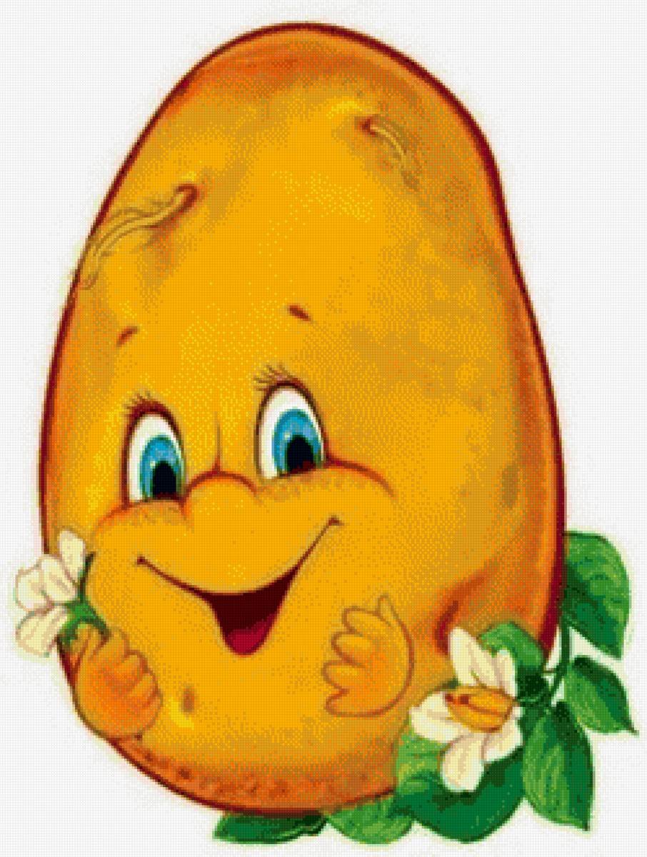 Живые фрукты вектор